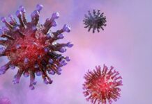 The Inevitable Disaster – New Coronavirus Variant Detected in Pakistan The Inevitable Disaster - New Coronavirus Variant Detected in Pakistan