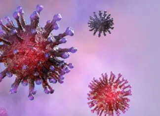 The Inevitable Disaster – New Coronavirus Variant Detected in Pakistan The Inevitable Disaster - New Coronavirus Variant Detected in Pakistan