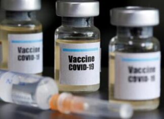 Coronavirus Vaccine To Be Administered to Public in February Coronavirus Vaccine To Be Administered to Public in February