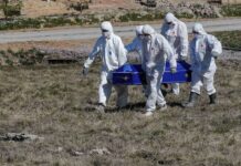 Surveys Show Increased Coronavirus Precaution While Deaths Statistics Claim Otherwise Surveys Show Increased Coronavirus Precaution While Deaths Statistics Claim Otherwise