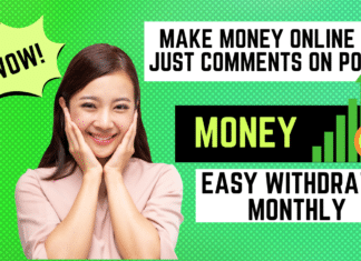 Make Money by Just Commenting on WordPress Posts