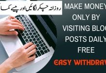 Make Money by Just Visiting Daily on WordPress Post